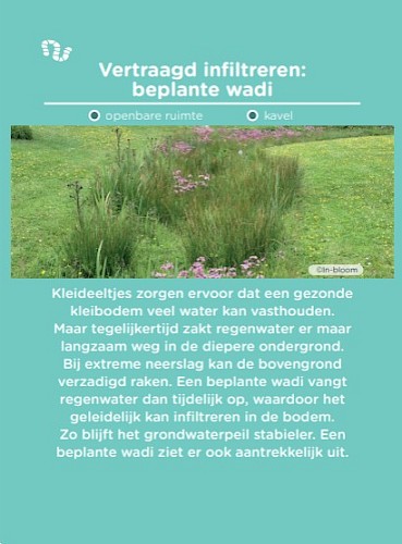 Maatregelkaart voor kleibodem: beschrijving