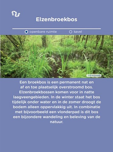 Maatregelkaart voor veenbodem: beschrijving