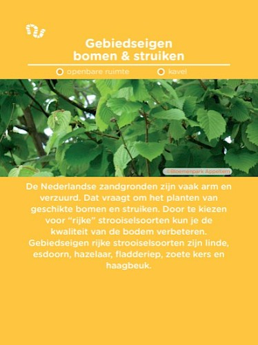 Maatregelkaart voor zandbodem: beschrijving