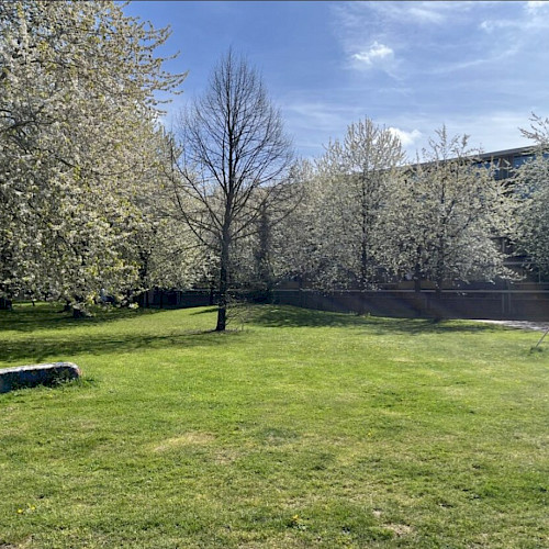 Monotoon groen, 2025